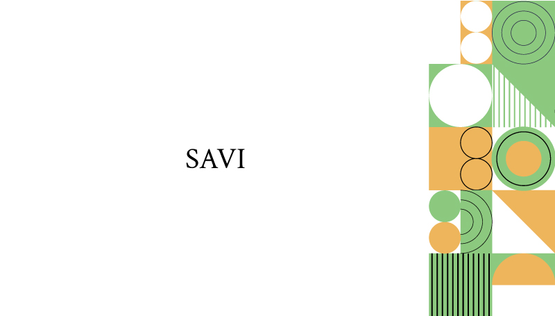 28-SAVI