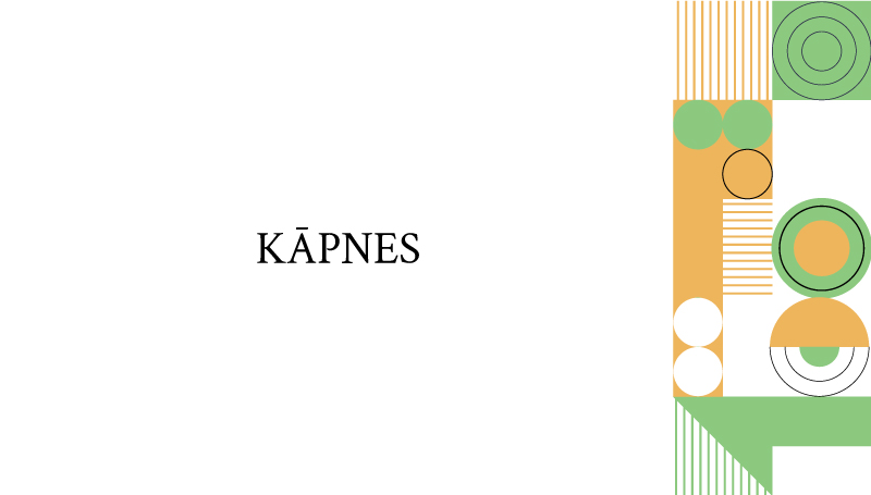 32-KāpNes