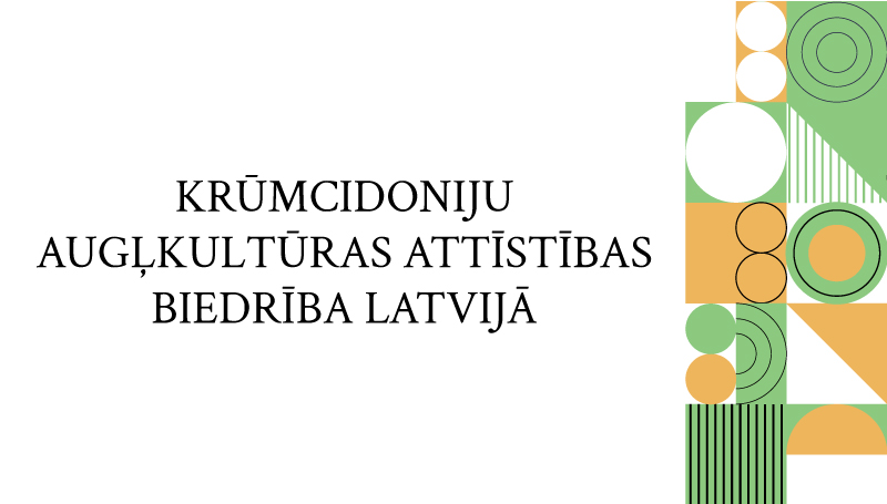 46-Krūmcidoniju-augļkultūras-attīstības-biedrība-Latvijā